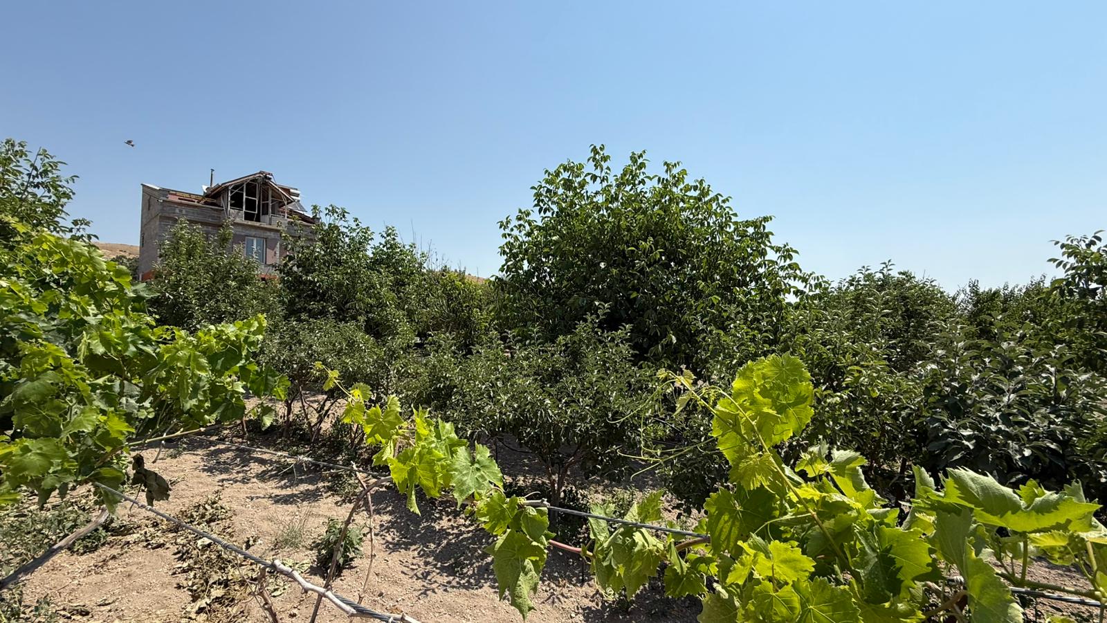 KAYSERİ DEVELİ ÇOMAKLI MAHALLESİ YAPRAKLIBURUN MEVKİİNDE SATILIK BAĞ